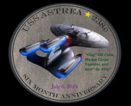 Six Month Anniversary Coin
